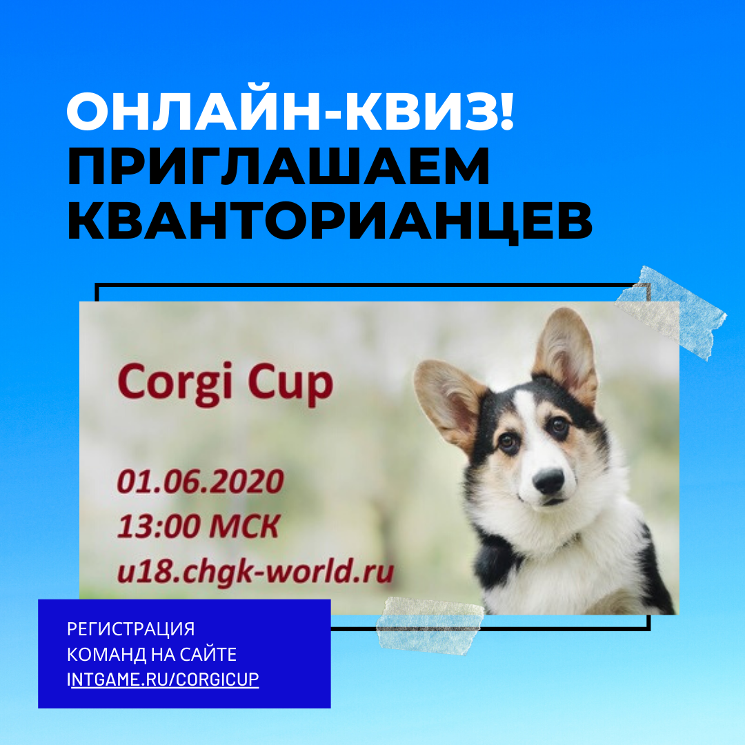 Приглашаем кванторианцев на онлайн-квиз Corgi Cup